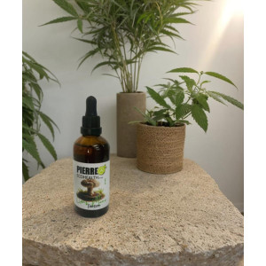 Lions Mane Tincture 100ml